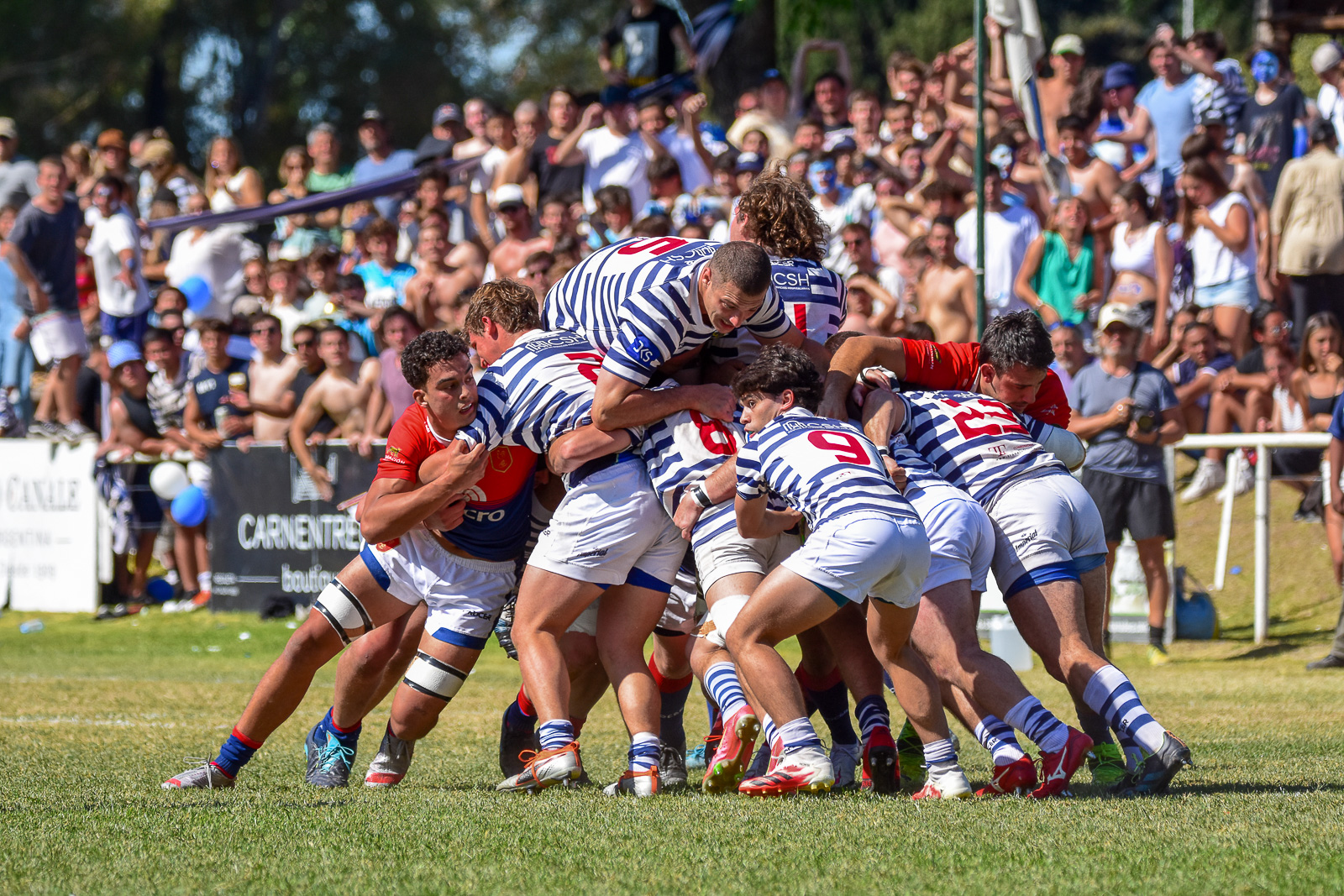  Club San Carlos - Asociación Deportiva Francesa - Rugby - URBA 1A - San Carlos vs Deportiva Francesa (#URBASanCarADF2022) Photo by: Ignacio Pousa | Siuxy Sports 2022-11-05