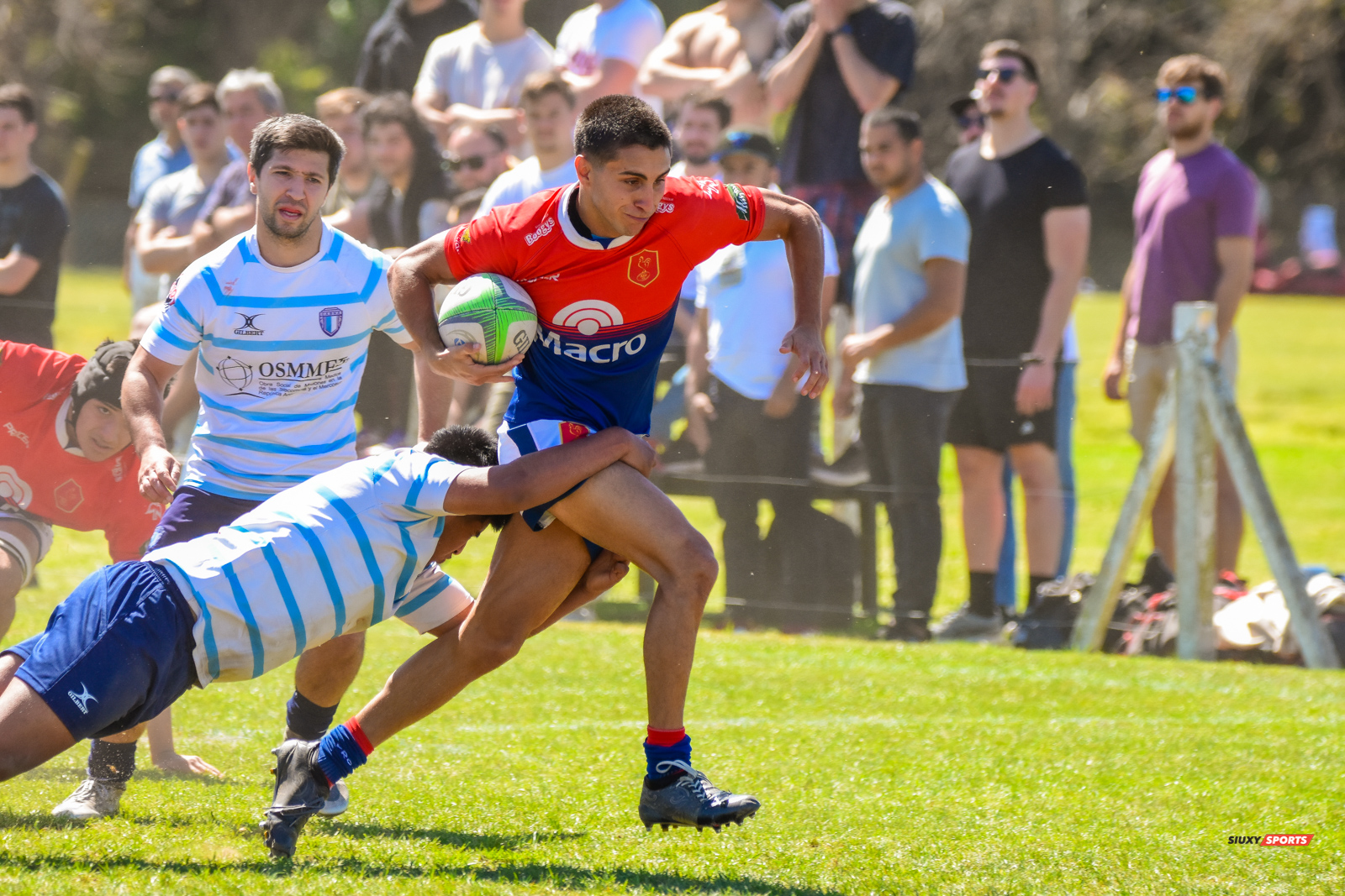  Club Atlético Banco de la Nación Argentina - Asociación Deportiva Francesa - Rugby - URBA - Primera A - Banco Nacion (36) vs (38) Deportiva Francesa (#URBACABNADepo2022A) Photo by: Ignacio Pousa | Siuxy Sports 2022-09-24