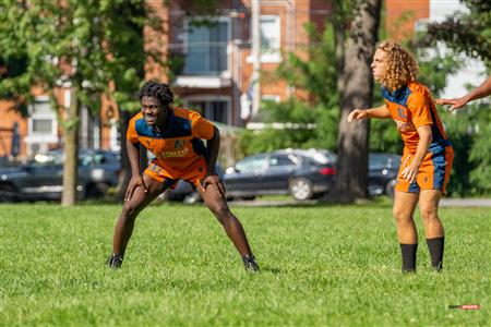 RSEQ RUGBY MASC - Dawson (21) VS (12) André Laurendeau - REEL A2