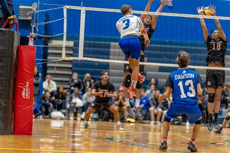 RSEQ - VOLLEYBALL C M D2 SUD-OUEST - TOURNOI 4 - SECTION A - Aigles (2) VS (1) Blues