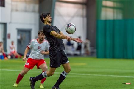 QSL - Dynamo Plateau vs White Eagles