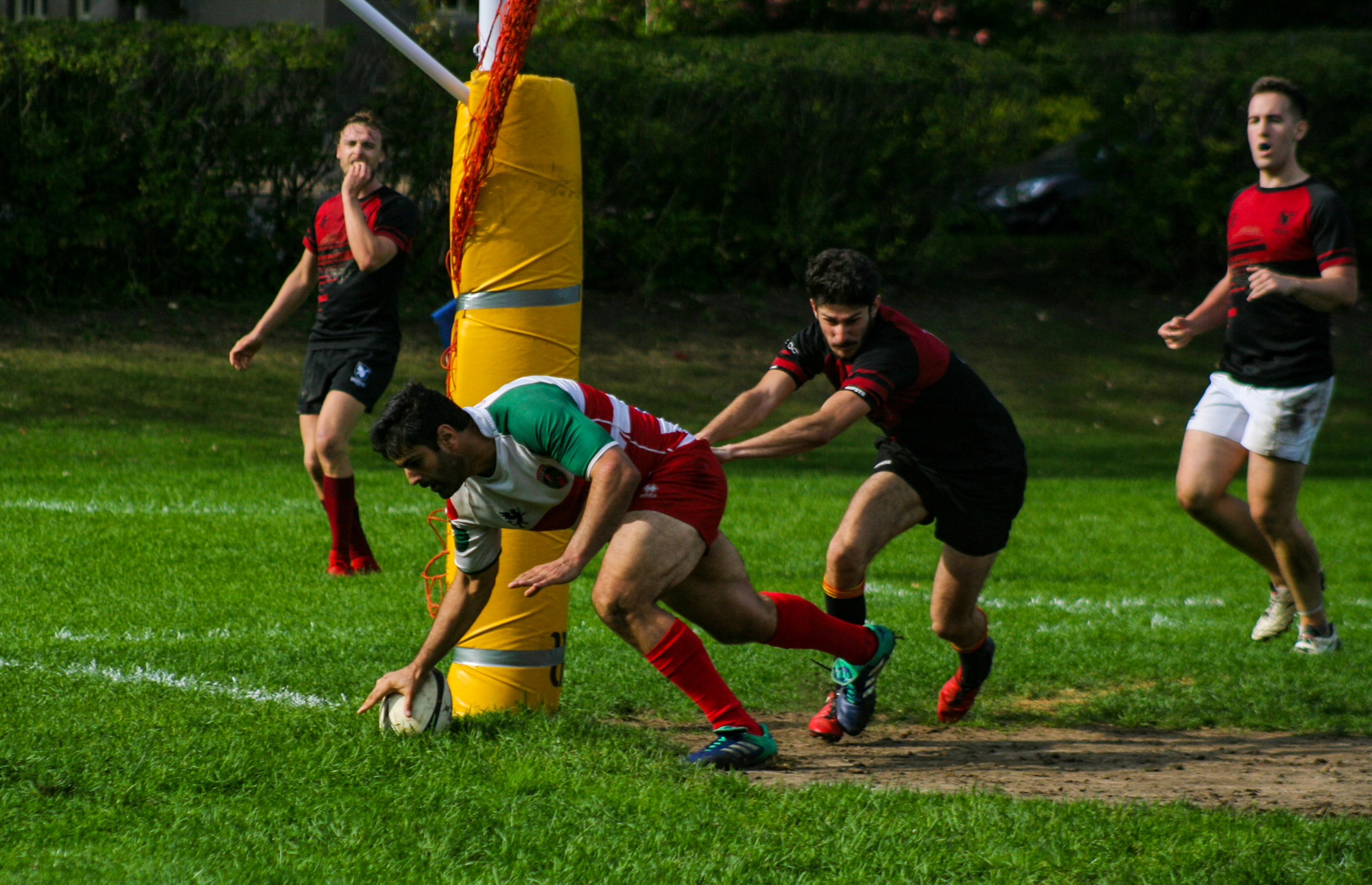  Westmount Rugby Club - Rugby Club de Montréal - Rugby -  (#WRCvsRCM2021m) Photo by:  | Siuxy Sports 2021-09-25