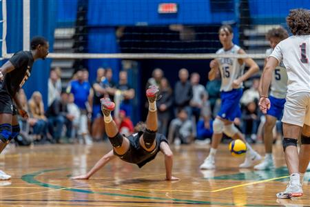 RSEQ - VOLLEYBALL C M D2 SUD-OUEST - TOURNOI 4 - SECTION A - Aigles (2) VS (1) Blues