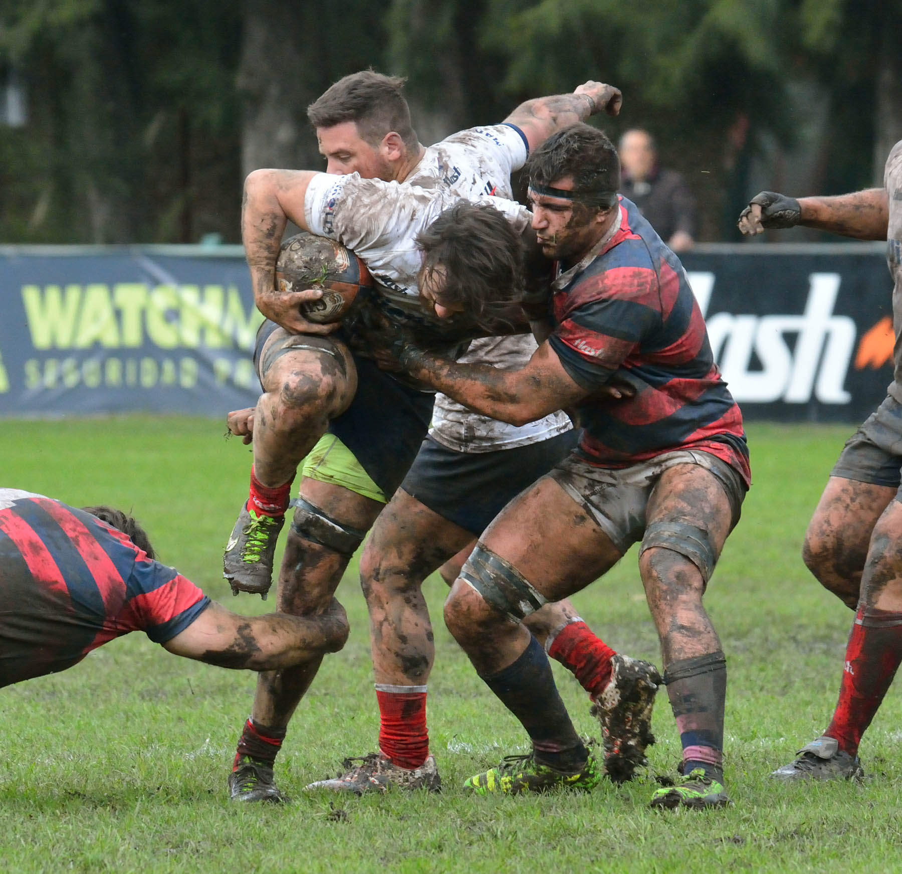  Curupaytí Club de Rugby - Pueyrredón Rugby Club - Rugby -  (#CurupaVsPuey2017) Photo by: Edy Rung | Siuxy Sports 2017-08-19