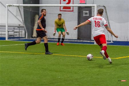 QSL - Dynamo Plateau vs White Eagles