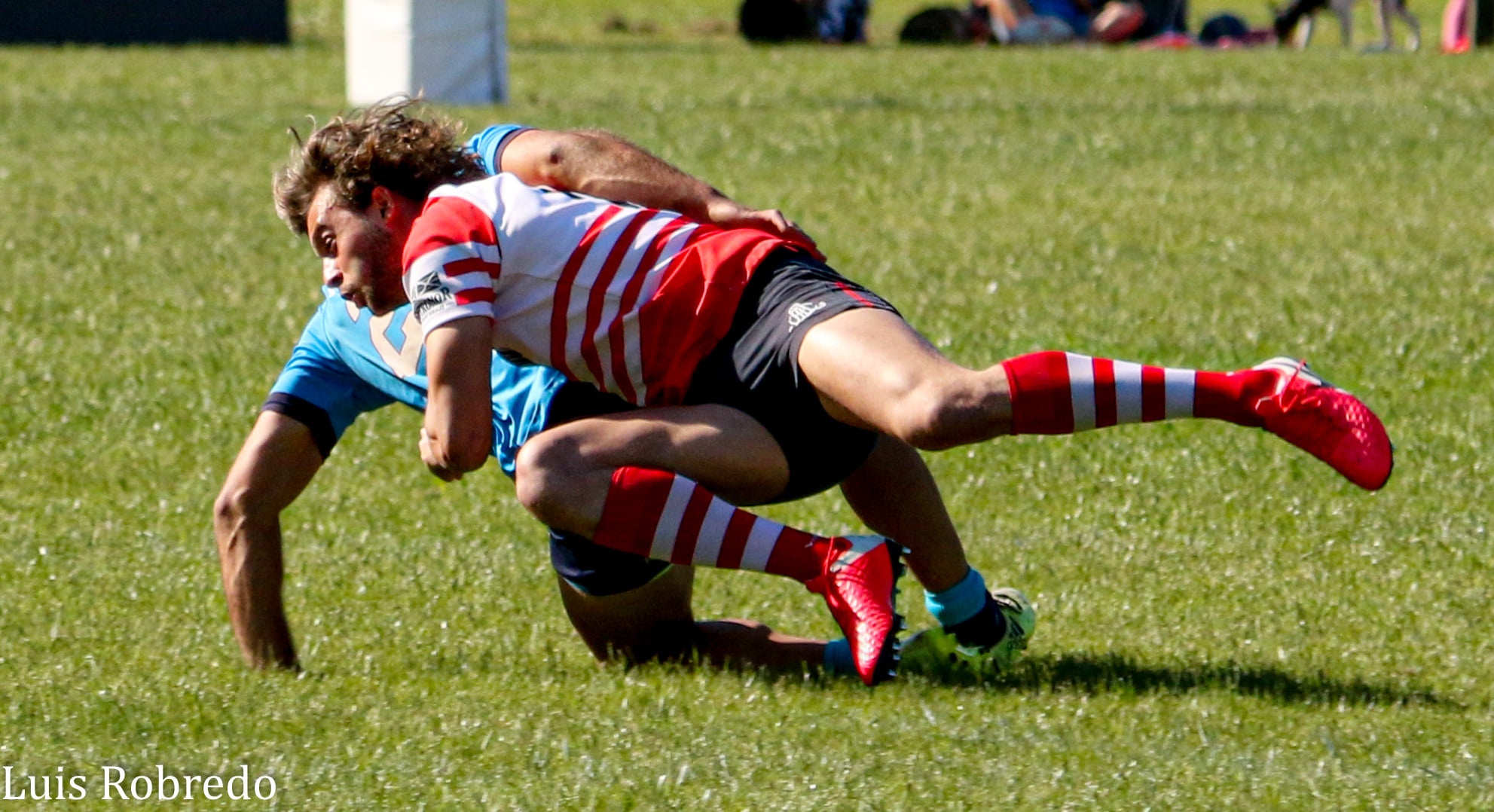 Areco Rugby Club - Círculo Universitario de Quilmes - Rugby - Areco Vs CUQ - URBA 2021 - Primera (#ArecoVsCUQ2021Pri) Photo by: Luis Robredo | Siuxy Sports 2021-11-20