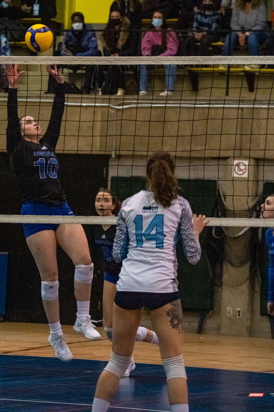 Catherine BOURGAULT - Sarah MCGLASHAN -  Université de Montréal - Université du Québec à Montréal - Volleyball - Université de Montréal vs Université du Québec à Montréal - Volleyball Fém (#CrbnsVsCtdns2022VollF) Photo by:  | Siuxy Sports 2022-02-26