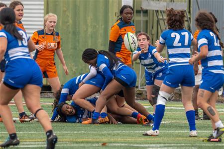 RSEQ - Rugby Fem - Dawson (12) vs (31) André Laurendeau - SemiF