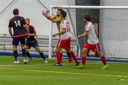 QSL - Dynamo Plateau vs White Eagles