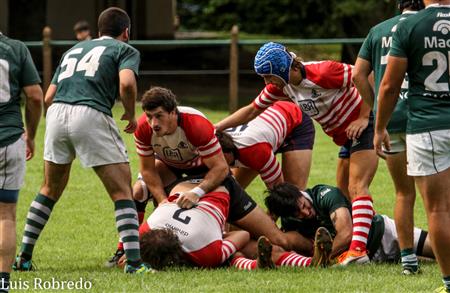Los Cardos Rugby Club vs Areco Rugby Club