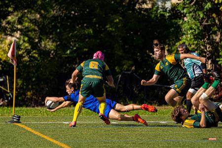 RSEQ RUGBY Masc - U. DE MONTRÉAL (50) vs (7) U. Sherbrooke - Reel A1