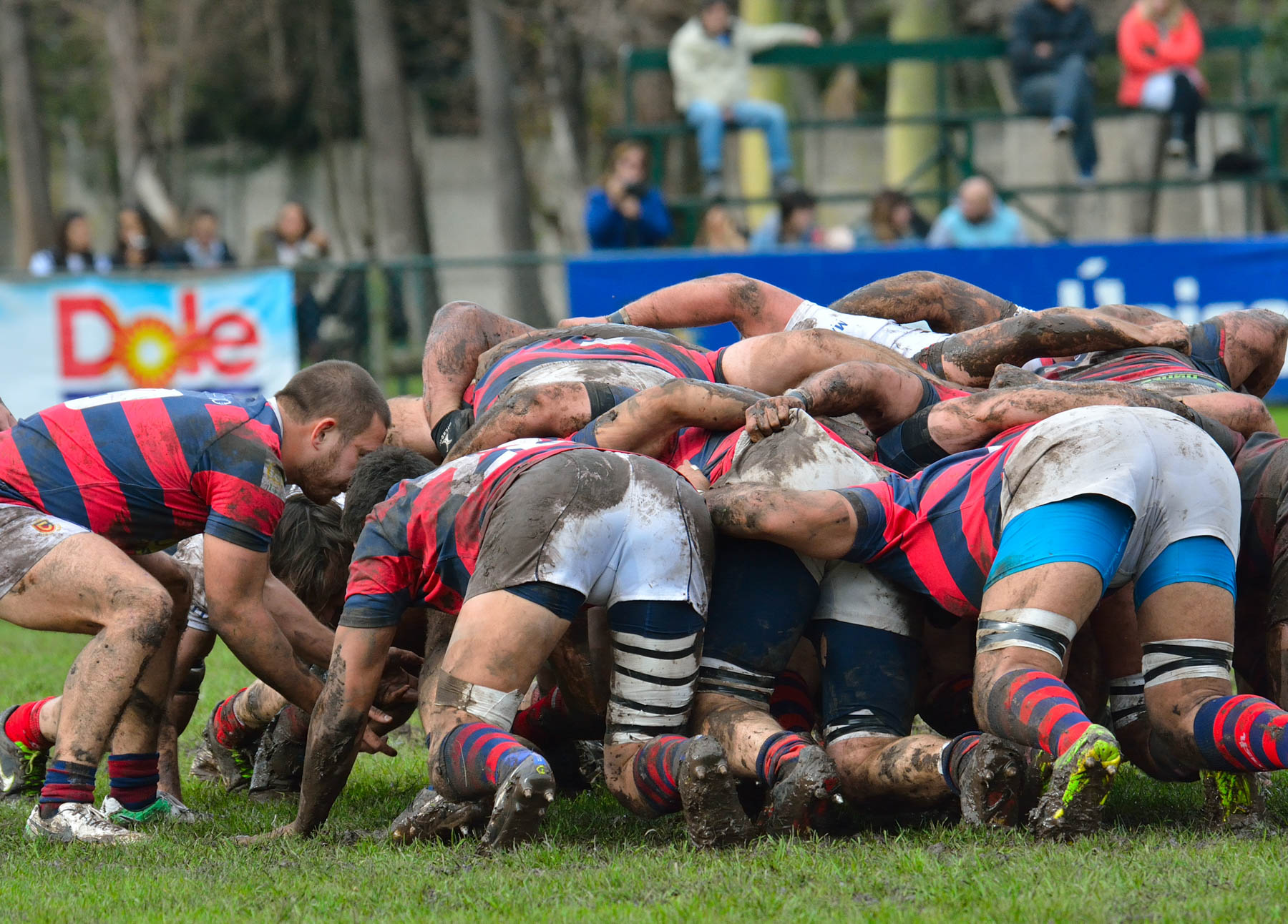  Curupaytí Club de Rugby - Pueyrredón Rugby Club - Rugby -  (#CurupaVsPuey2017) Photo by: Edy Rung | Siuxy Sports 2017-08-19