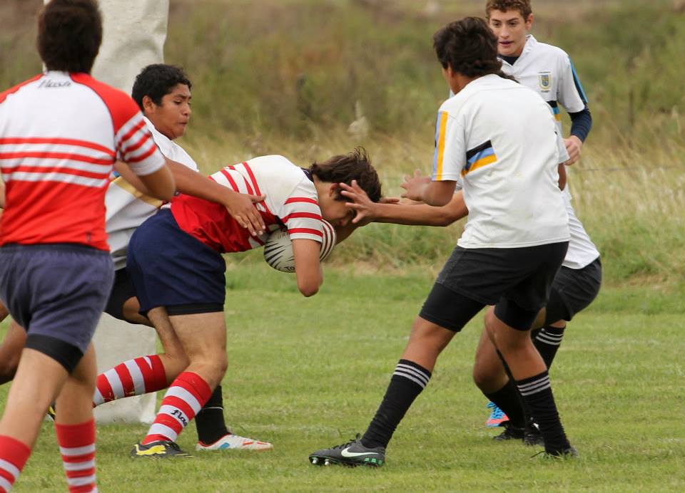  Areco Rugby Club - Los Cedros - Rugby - M15 Areco vs Los Cedros 2014 (#2014M15ArecoVsLosCedros) Photo by: Luis Robredo | Siuxy Sports 2014-04-14