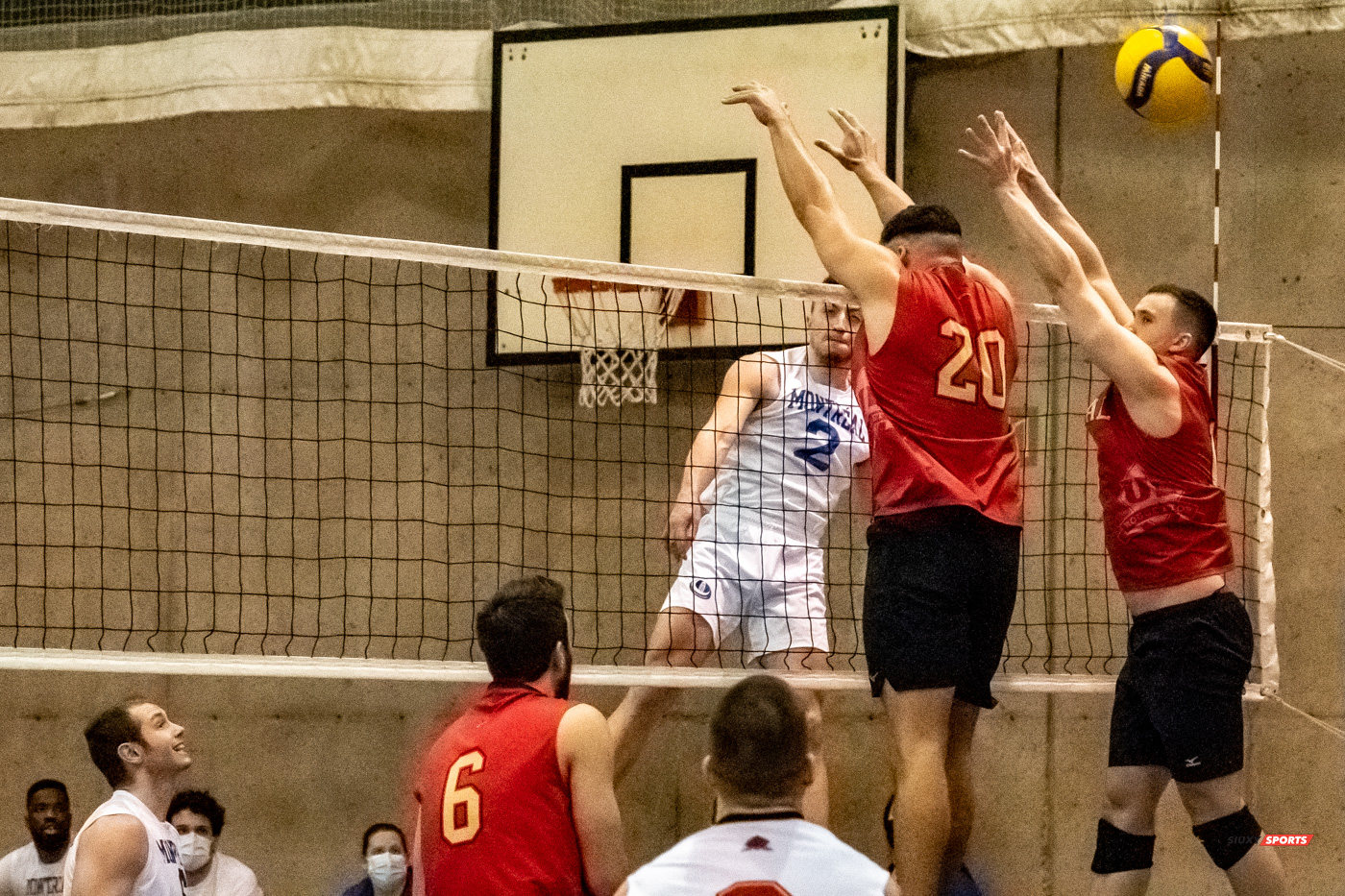 Julien BOILEAU -  Université de Montréal - Université Laval - Volleyball - Université de Montréal (3) vs Université Laval (2) (#CarabinsVsRgeOr2022VolleyM) Photo by:  | Siuxy Sports 2022-03-05