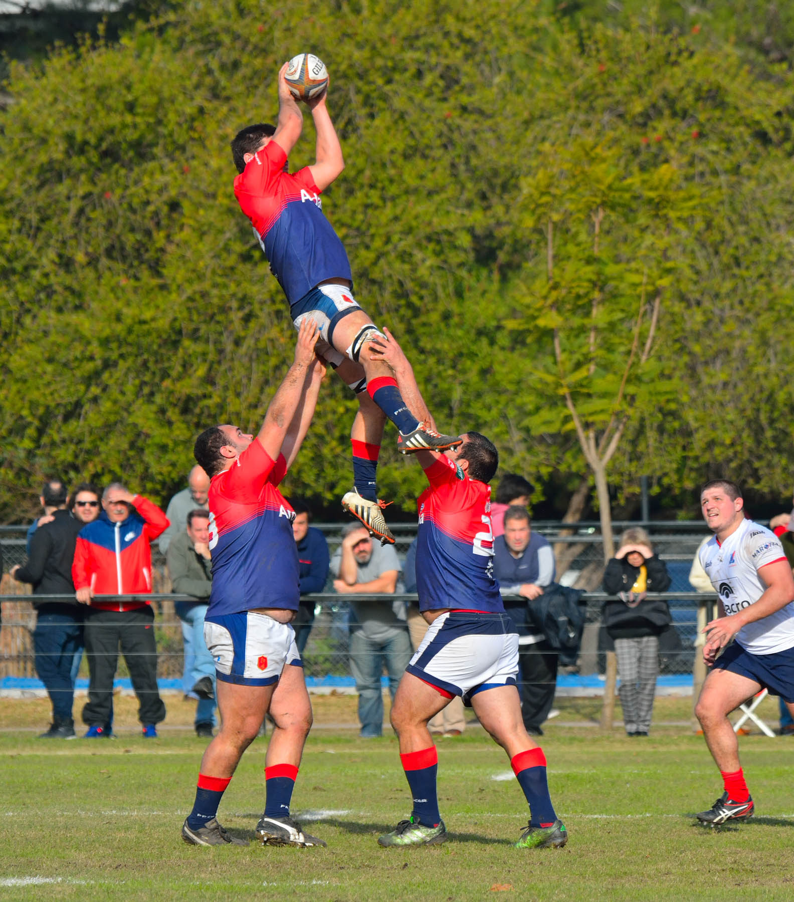  Asociación Deportiva Francesa -  - Rugby -  (#PueyVsDepoJun2018Prim) Photo by: Edy Rung | Siuxy Sports 2018-06-09