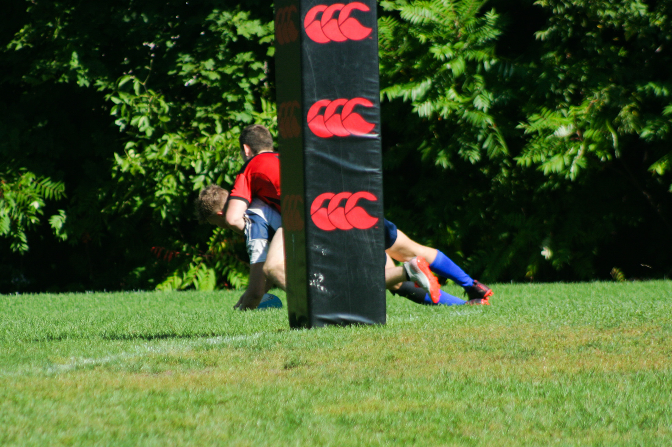 Parc Olympique Rugby - Beaconsfield Rugby Football Club - Rugby -  (#BRFCvsParco2021) Photo by:  | Siuxy Sports 2021-09-25