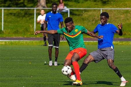 Lions du Cameroun Vs Top Boys FC - LIGAF One