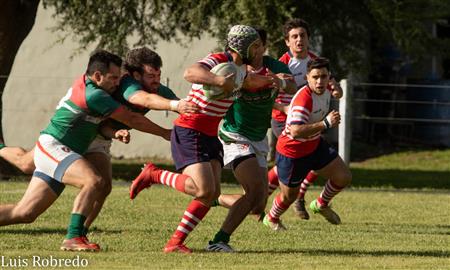 Areco Rugby vs Brandsen