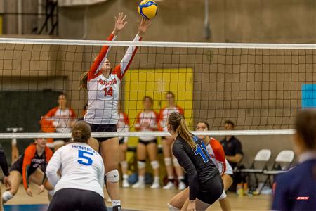 RSEQ - Volleyball Fém - U. de Montréal (3) - (0) UQTR