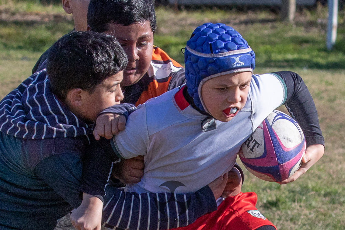 Sociedad Italiana de Tiro al Segno - Virreyes Rugby Club - Rugby - M12 SITAS vs Virreyes (#M12SitasvsVirreyes2021) Photo by: Alan Roy Bahamonde | Siuxy Sports 2021-07-17
