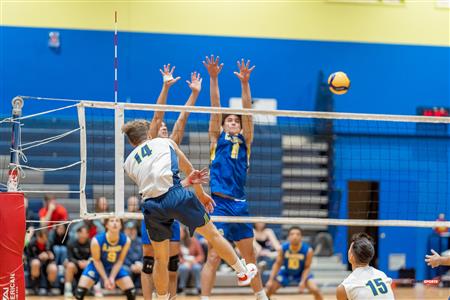 RSEQ - Volleyball C M D2 Sud-Ouest - Tournoi 4 - Section A - Nomades (2) vs (1) Islanders