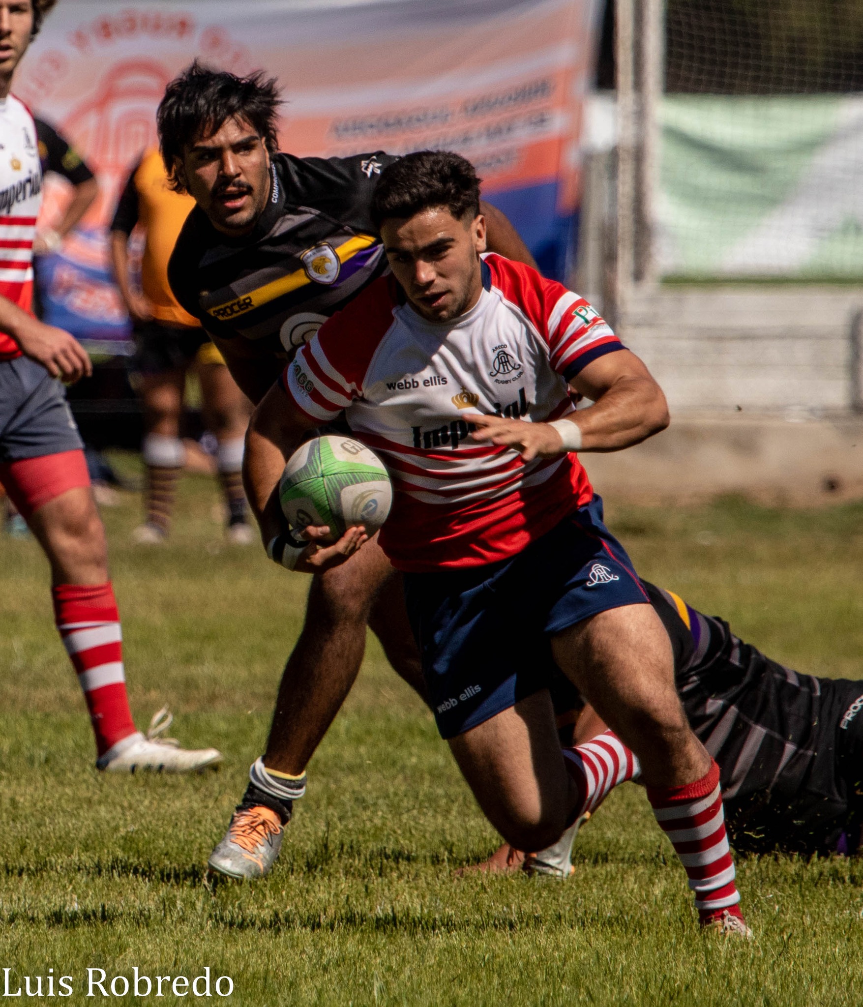  Areco Rugby Club - Club Atlético San Antonio de Padua - Rugby - URBA - Areco RC vs Padua (#URBAArecoPadua2022R1) Photo by: Luis Robredo | Siuxy Sports 2022-11-06