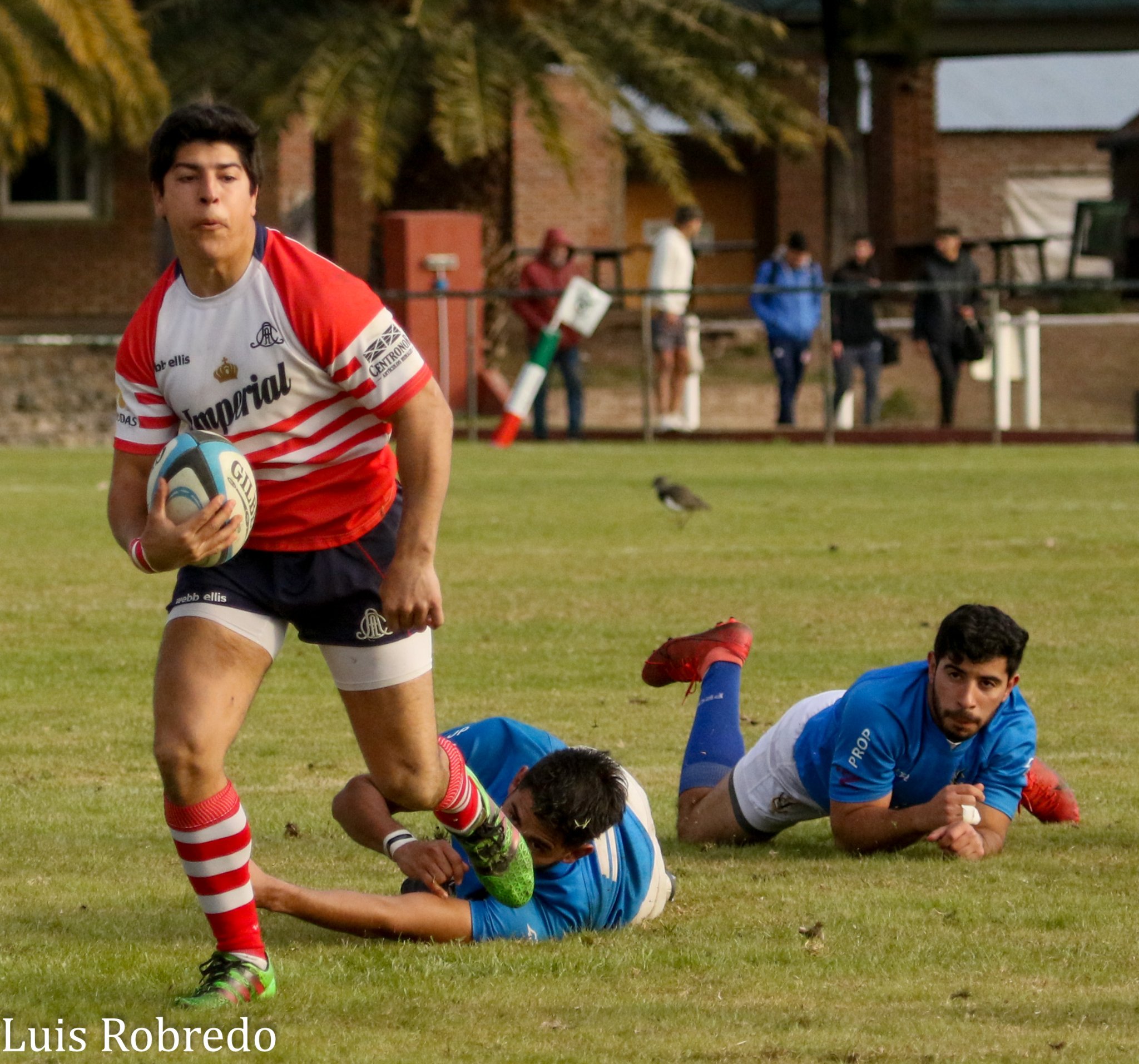  Club Italiano Rugby - Areco Rugby Club - Rugby - Italiano vs Areco RC (#ItalianoAreco2022) Photo by: Luis Robredo | Siuxy Sports 2022-06-10