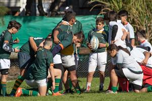 SITAS vs Virreyes Rugby Club - URBA M14