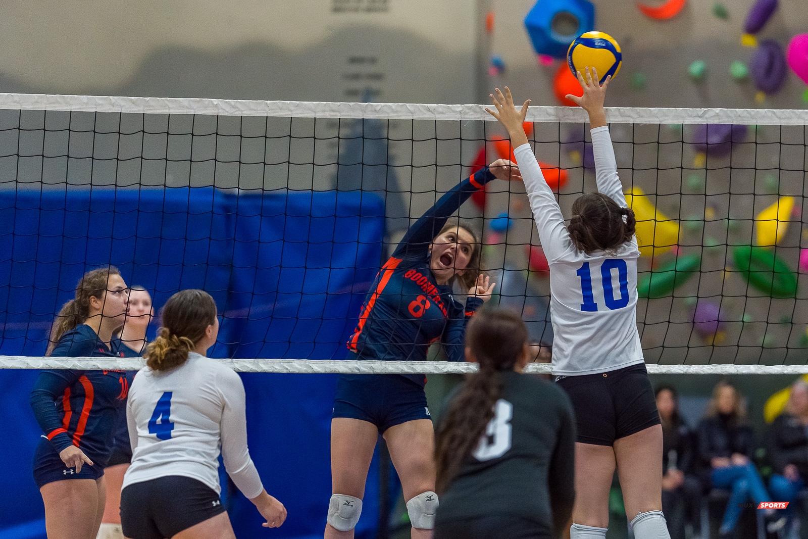  Cégep André Laurendeau - Collège Marianopolis - Volleyball - RSEQ - Volleyball C F D2 Sud-Ouest - Tournoi 4 - Sect F - André Laurendeau (2) vs (1) Marianopolis (#RSEQVolleyALvsMariano2022) Photo by: Dan Taylor-Morin | Siuxy Sports 2022-11-27