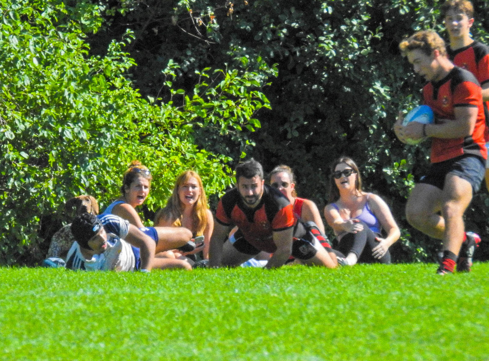  Parc Olympique Rugby - Beaconsfield Rugby Football Club - Rugby -  (#BRFCvsParco2021) Photo by:  | Siuxy Sports 2021-09-25