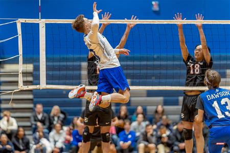 RSEQ - VOLLEYBALL C M D2 SUD-OUEST - TOURNOI 4 - SECTION A - Aigles (2) VS (1) Blues