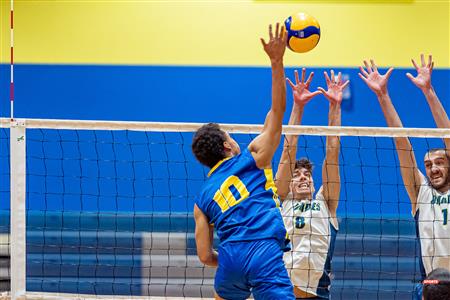 RSEQ - Volleyball C M D2 Sud-Ouest - Tournoi 4 - Section A - Nomades (2) vs (1) Islanders