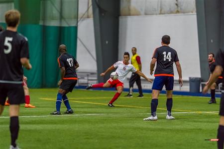 QSL - Dynamo Plateau vs White Eagles