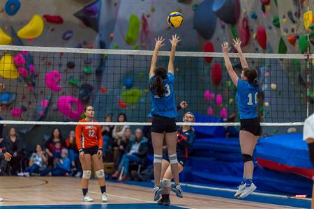 RSEQ - Volleyball C F D2 Sud-Ouest - Tournoi 4 - Sect F - André Laurendeau (2) vs (1) Gérald Godin