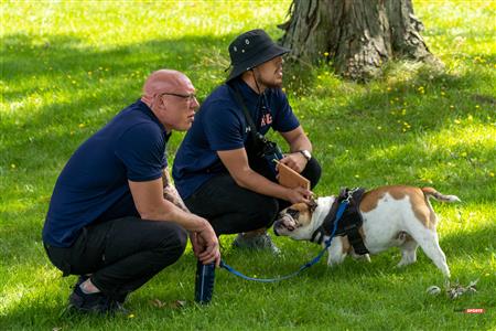 RSEQ RUGBY MASC - Dawson VS André Laurendeau - REEL B - PreMatch