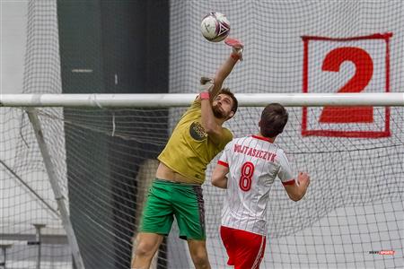 QSL - Dynamo Plateau vs White Eagles