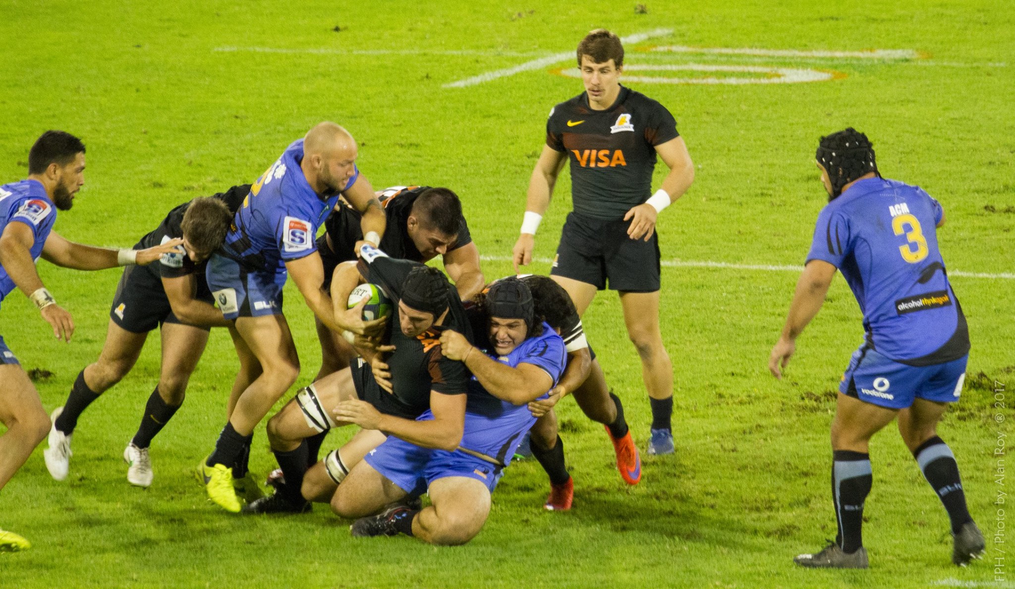 Jaguares - Western Force - Rugby - Jaguares vs Western Force 2017 (#JaguaresVsWstrnForce2017) Photo by: Alan Roy Bahamonde | Siuxy Sports 2017-05-13