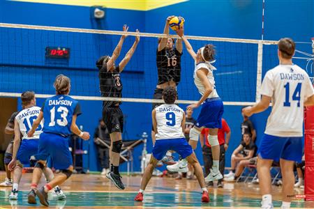 RSEQ - VOLLEYBALL C M D2 SUD-OUEST - TOURNOI 4 - SECTION A - Aigles (2) VS (1) Blues