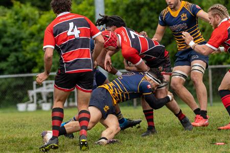 TMR (29) vs (0) BRFC - Reel A1 - M1