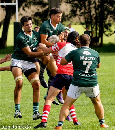 Los Cardos Rugby Club vs Areco Rugby Club