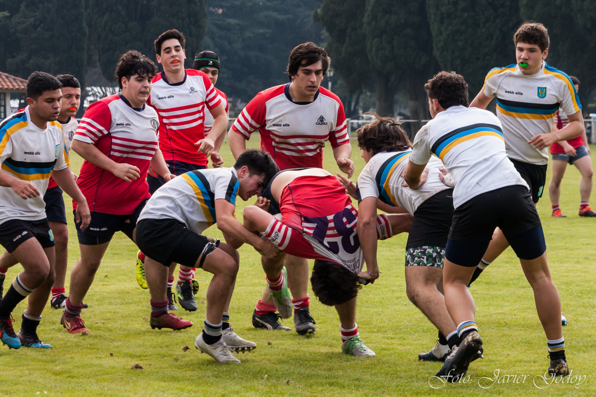  Areco Rugby Club - Los Cedros - Rugby - 32 para abajo (#CedrosVsAreco2021) Photo by: Javier Godoy | Siuxy Sports 2021-08-16