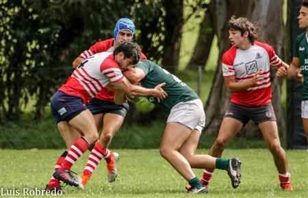 Los Cardos Rugby Club vs Areco Rugby Club