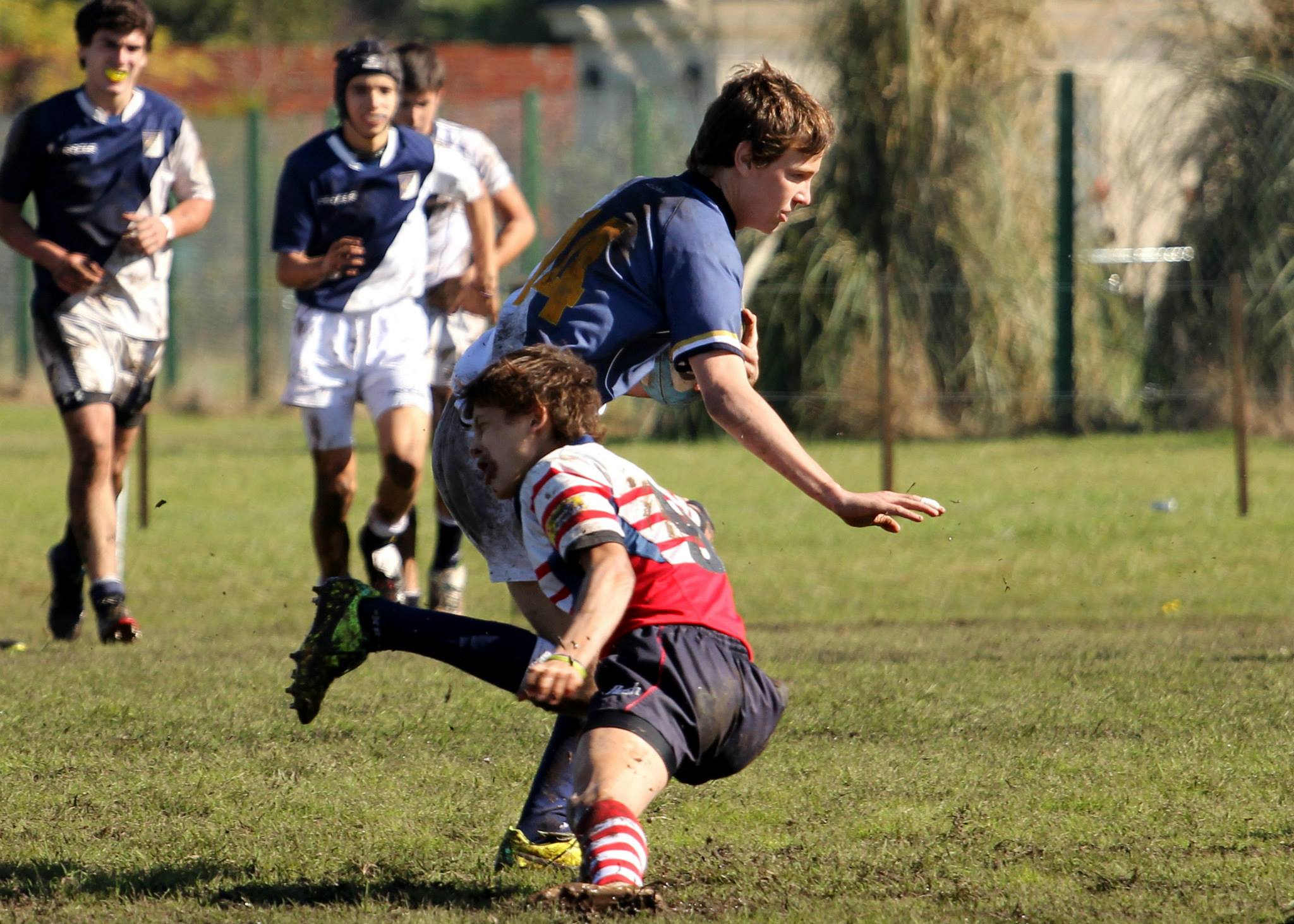  Club Champagnat - Areco Rugby Club - Rugby - Champagnat Vs Areco - M16 2014 (#CHAMPAvsARECO2014M16) Photo by: Luis Robredo | Siuxy Sports 2014-05-18