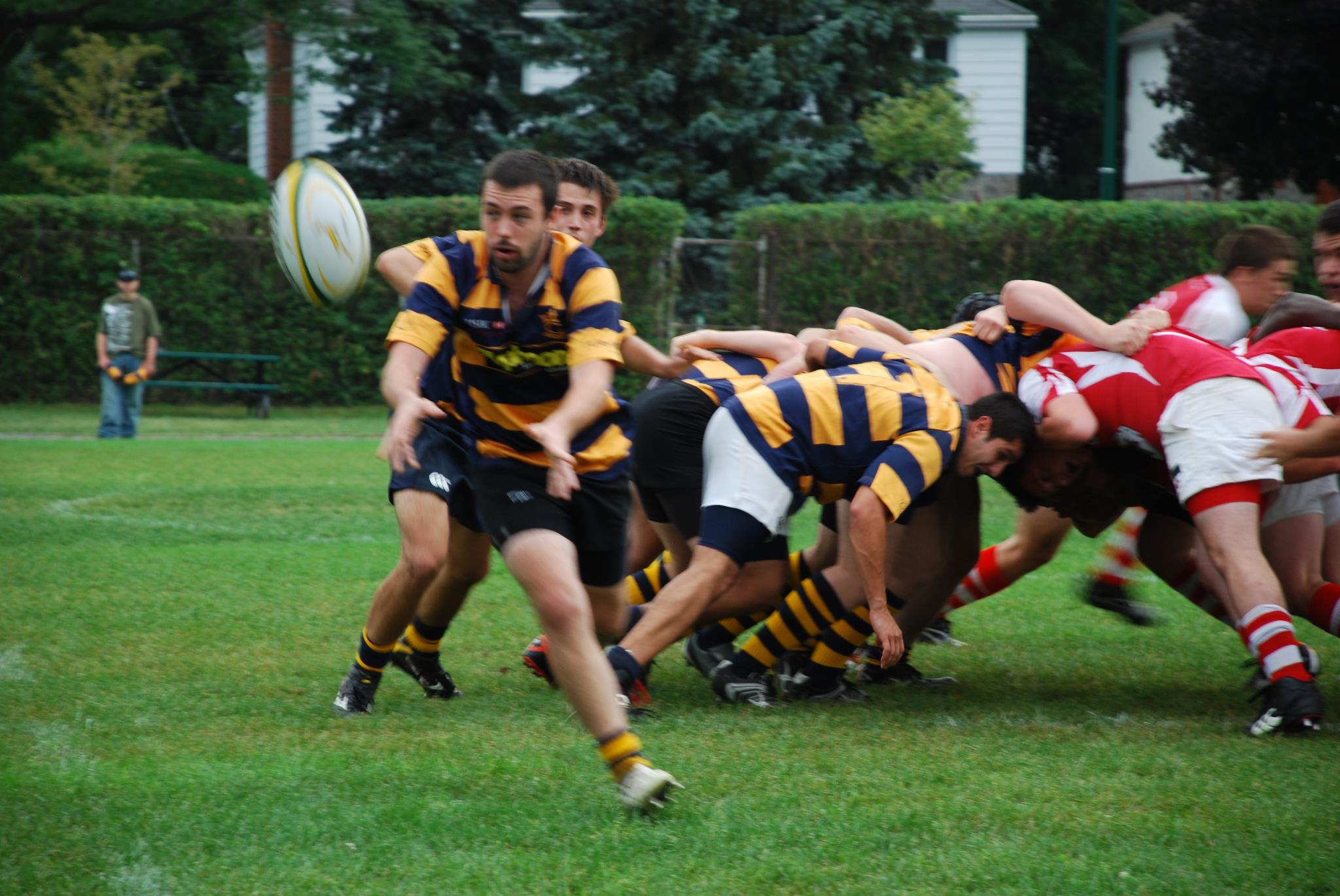  Town of Mount Royal RFC -  - Rugby -  () Photo by:  | Siuxy Sports 2012-09-12