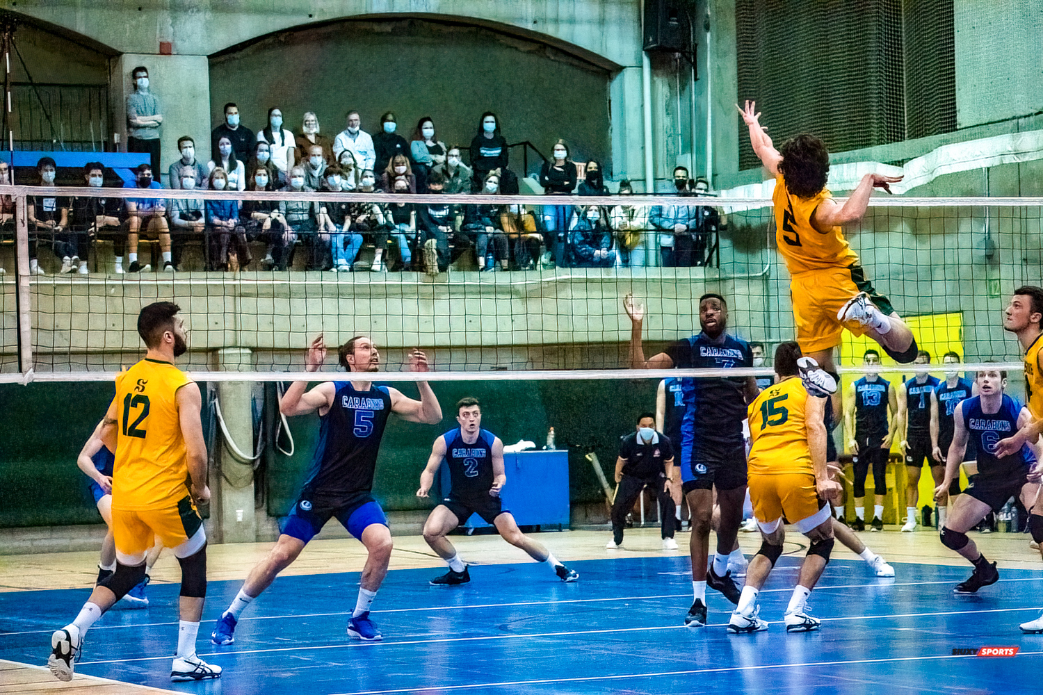 Guillaume BISSON - Zachary HOLLANDS - Sébastien LAPENSÉE - Raphaël VIENS -  Université de Montréal - Université de Sherbrooke - Volleyball - Université de Sherbrooke (3) vs Université de Montréal (1) - Final 1 2022 (#VertOrVsCarabinsFinal1M) Photo by:  | Siuxy Sports 2022-03-19