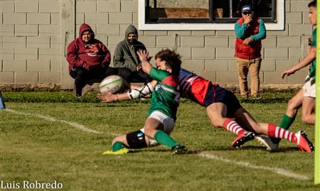 Areco Rugby vs Brandsen