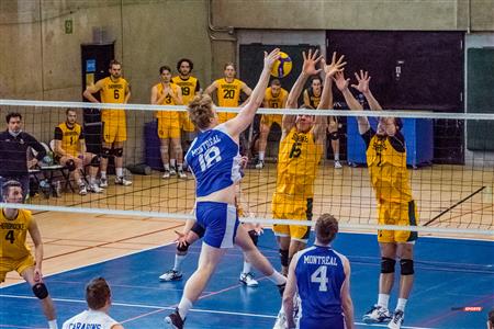 Université de Montréal (2) vs Université Sherbrooke (3)