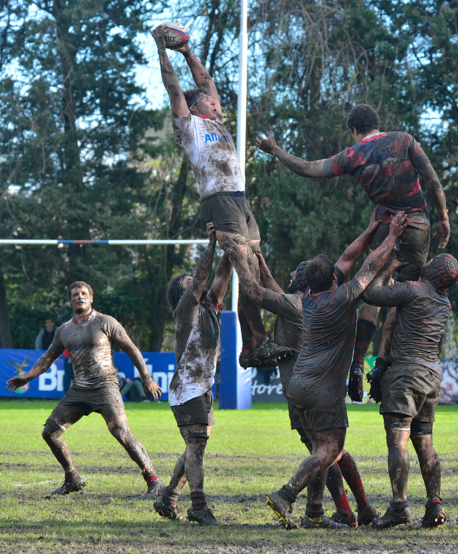  Curupaytí Club de Rugby - Pueyrredón Rugby Club - Rugby -  (#CurupaVsPuey2017) Photo by: Edy Rung | Siuxy Sports 2017-08-19