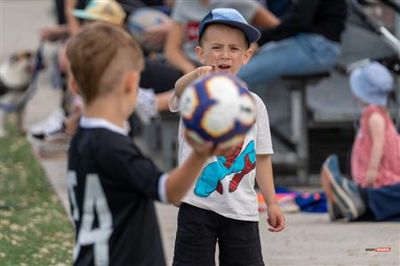 PARCO (14) vs (31) BBRFC - Rugby Quebec (Super Ligue Masculine) - Reel B (PARCO)