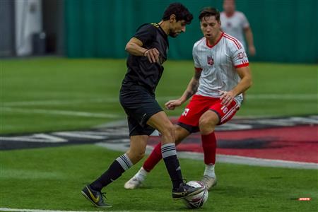 QSL - Dynamo Plateau vs White Eagles